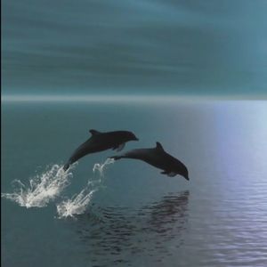 Meet your Posher, Ava